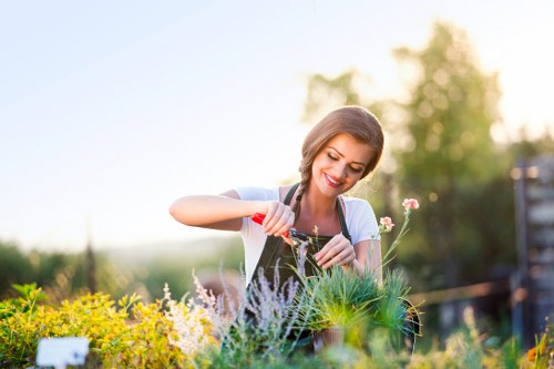 Professional tree pruning in Barnet garden