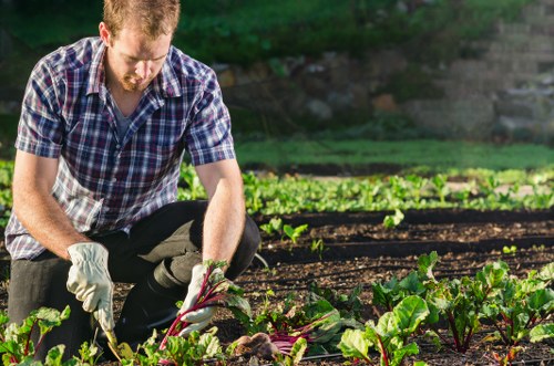 Local Barnet gardener working on lawn and planting