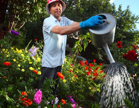 Hedge trimming by a professional Barnet gardener