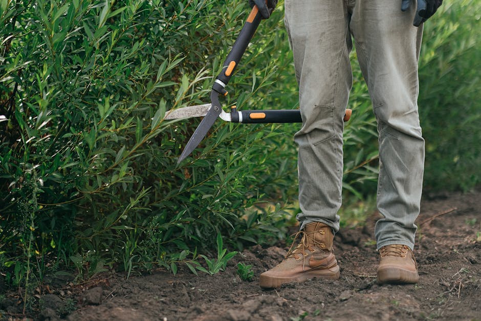 A gardener's hands are shown close-up performing hedge trimming with small blue-handled shears on a neatly maintained, leafy shrub in a garden setting. The person wears a silver wristwatch and a light