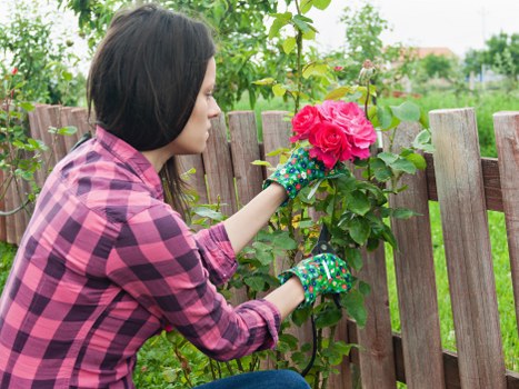 Expert landscaping by Gardener Barnet